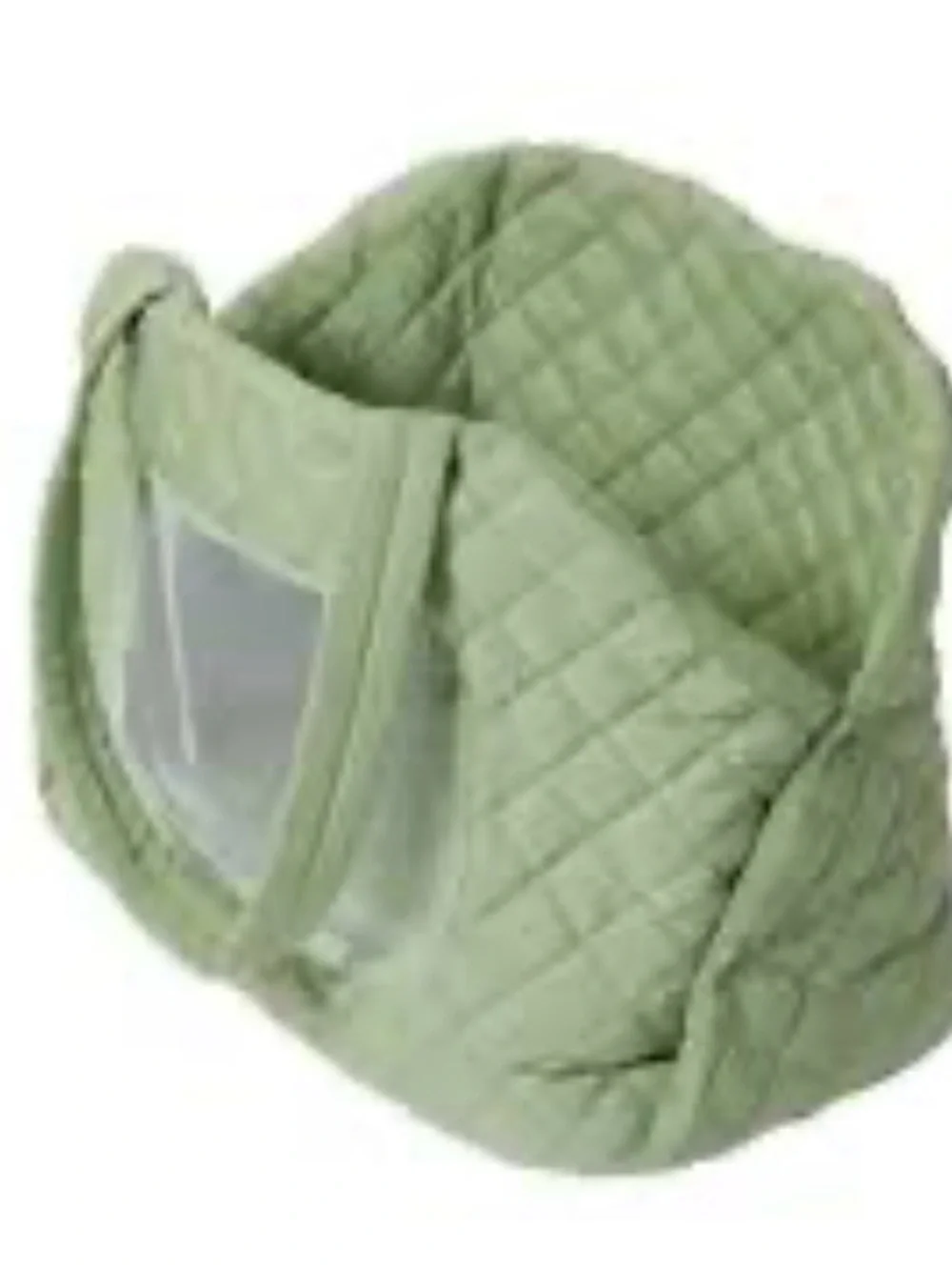 Quilted Light Green Pet Carrier Tote for Small Dogs and Cats